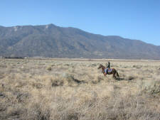 Click for full size image